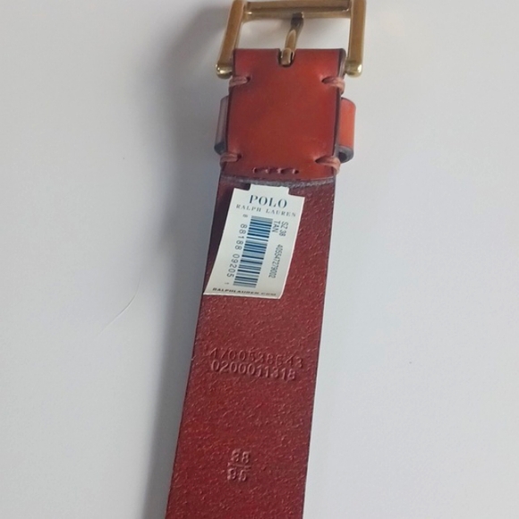 Mens Polo Ralph Lauren Belt - Picture 5 of 12